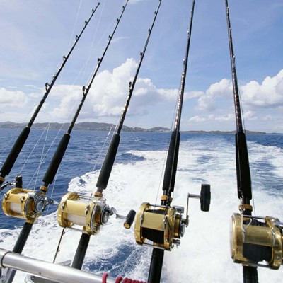 Spinning, Trolling and Sea fishing