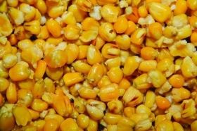 Царевица - Dynamite Bites - Frenzied Maize - 600гр